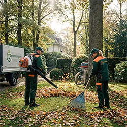 Garten und Landschaftsreinigung
