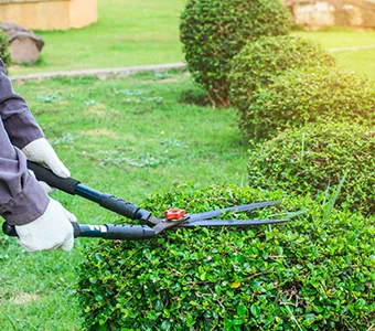 Merlin's Garten und Landschaftsreinigung