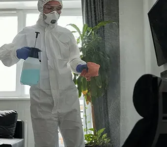 Merlin's Praktische Reinigung